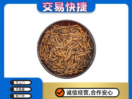 阿坝州松潘礼品回收虫草.jpg